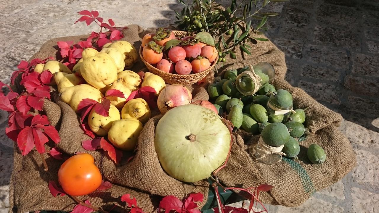 Agriturismo Torrevecchia San Pancrazio Salentino Zewnętrze zdjęcie